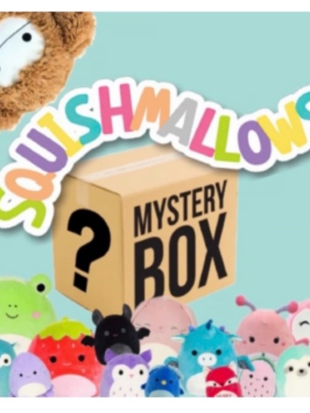 Squishmallows Mystery Box 📦